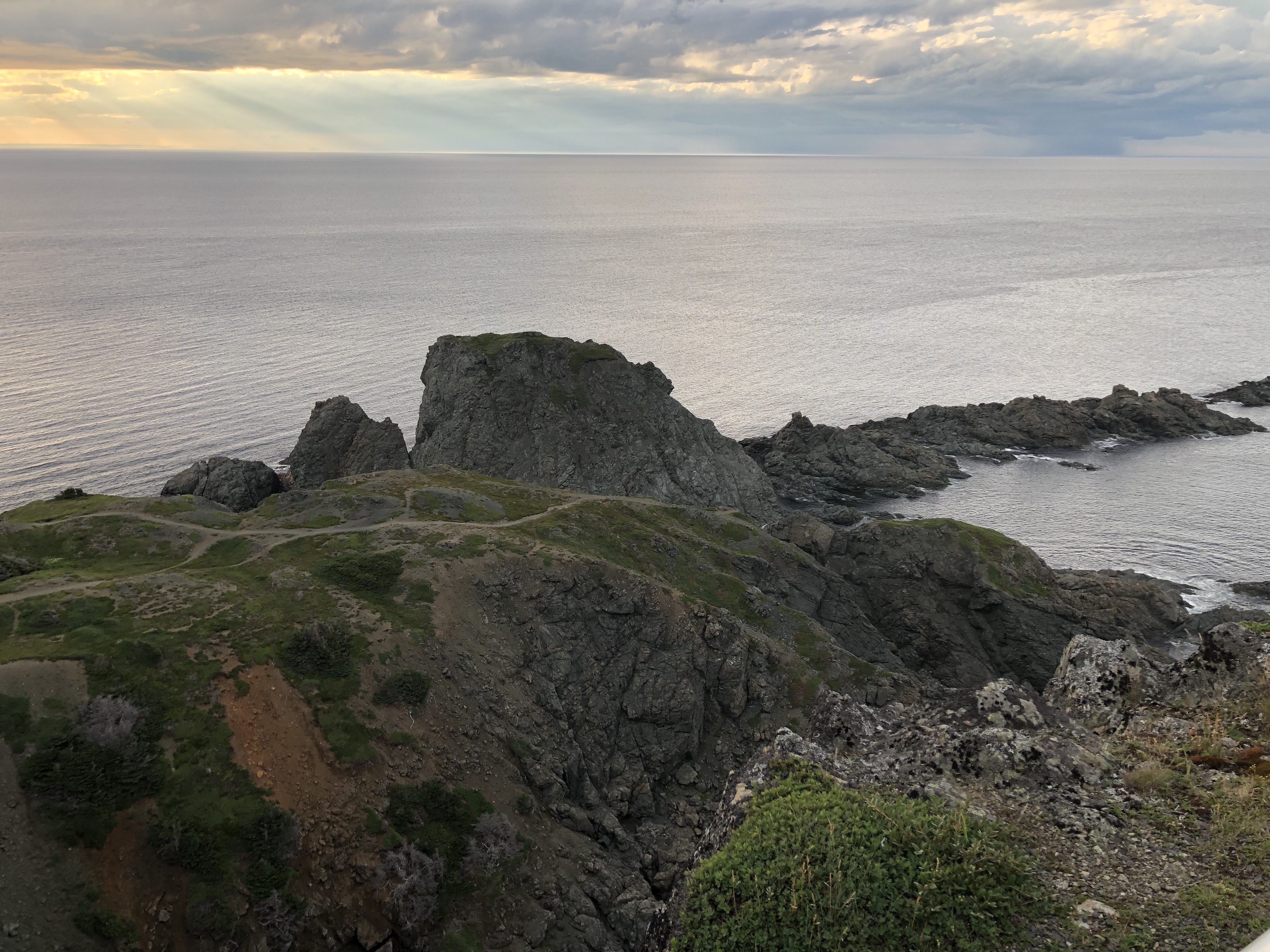 Cover Image for 14 - Twillingate - Toutons
