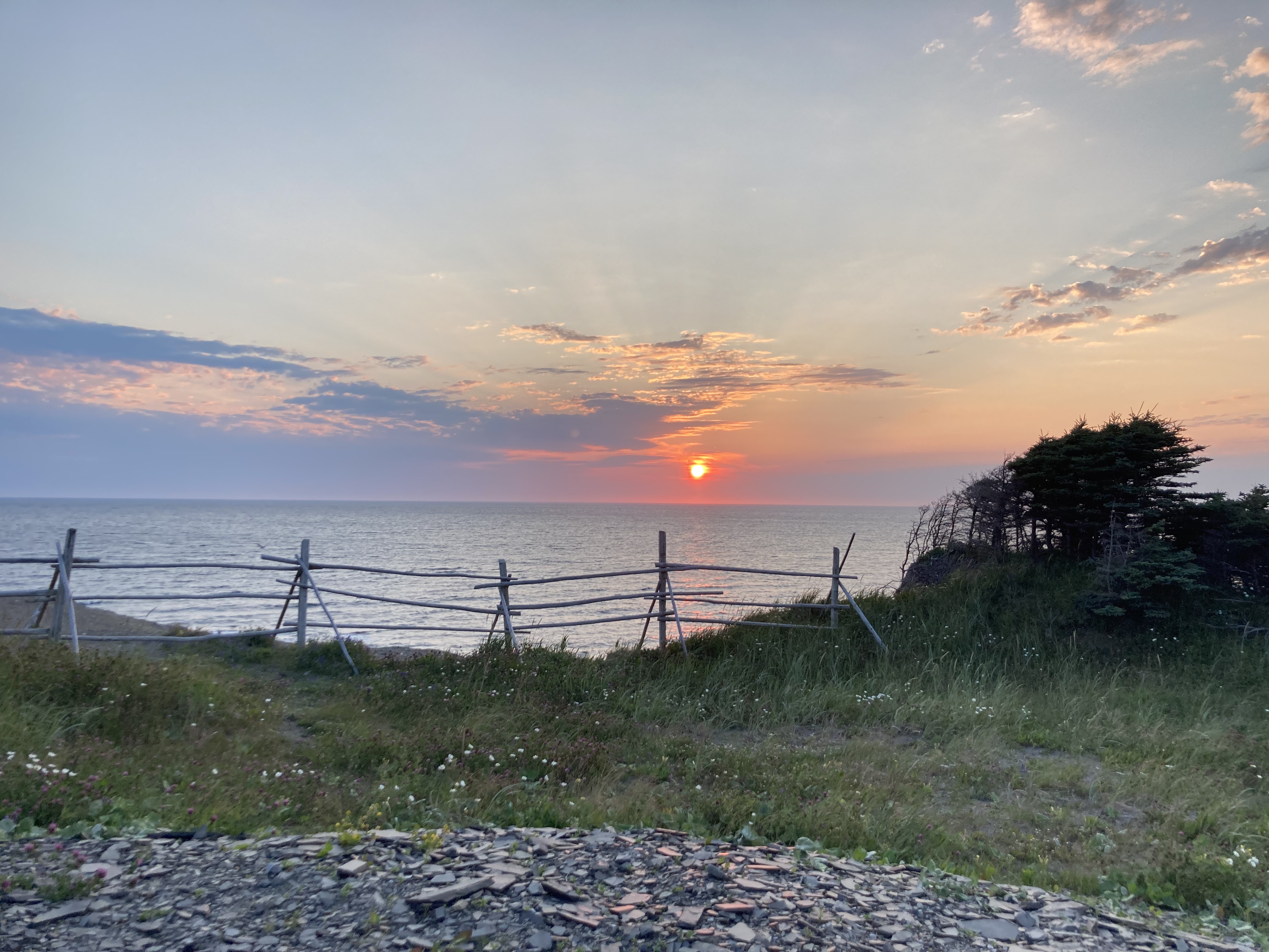 Cover Image for Update 2.1 - Le Black Spruce