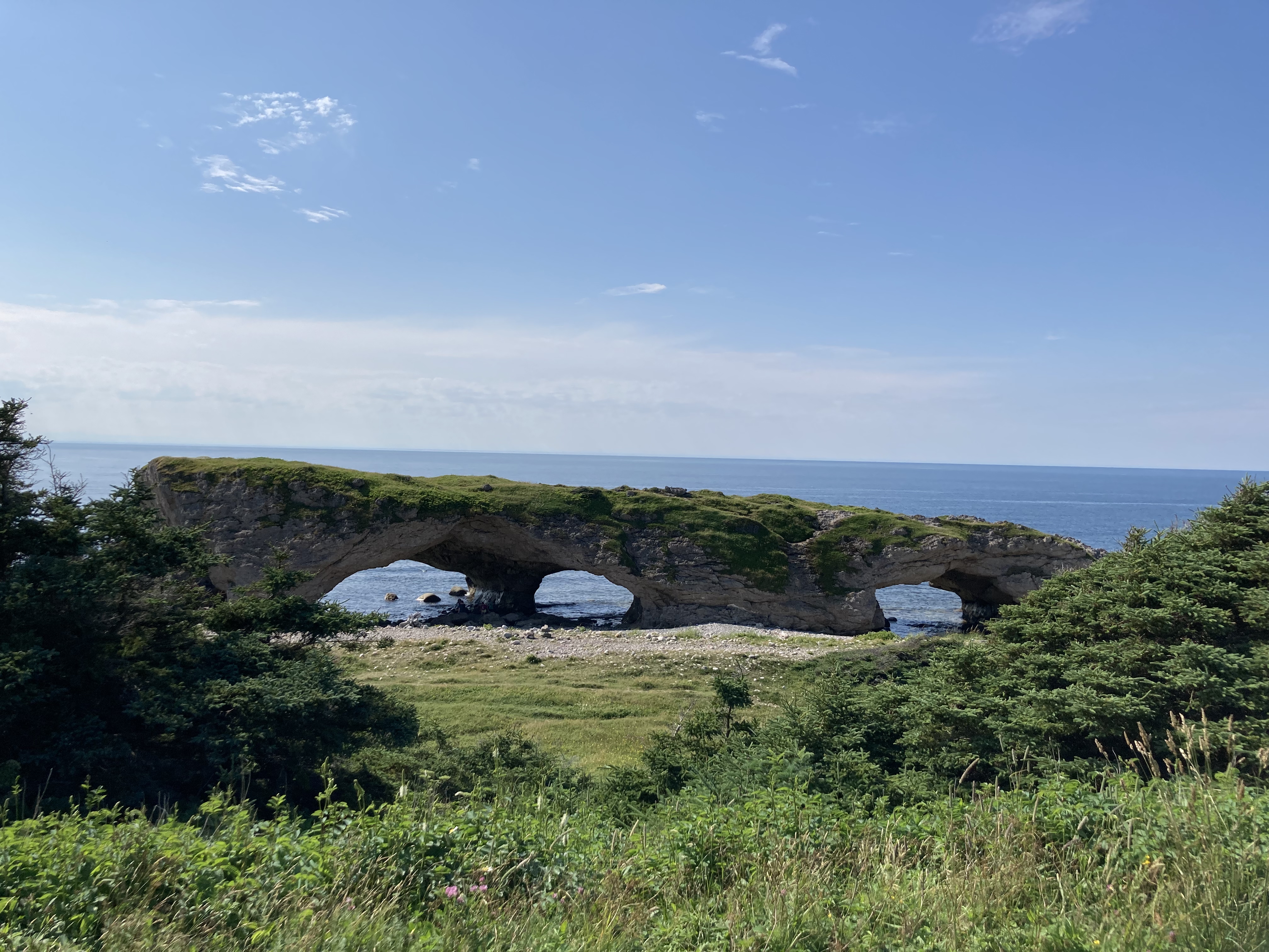 Cover Image for 6 - Vers Woody Point